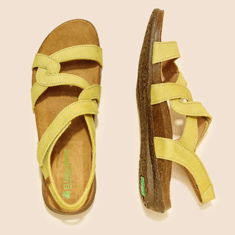 El Naturalista Wakataua N5079 slika 2